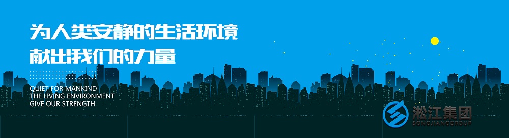 2018年波紋補(bǔ)償器檢測(cè)報(bào)告